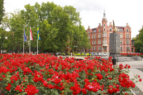 Budynek Ratusza Miejskiego z Różami przed nim