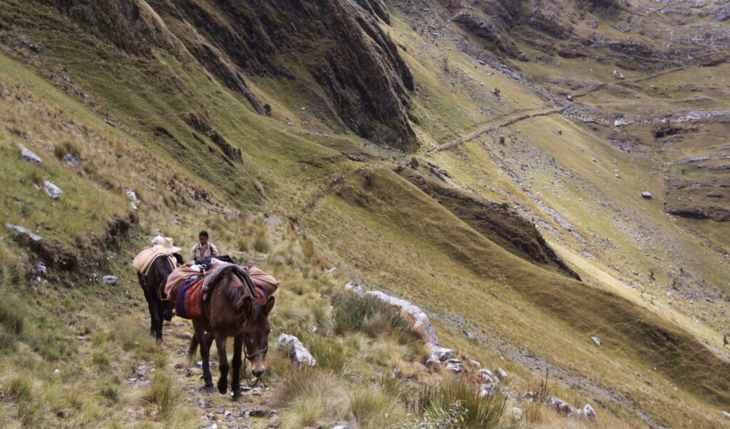 Inkaska Droga Królewska - Gran Camino Inca