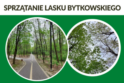 Grafika informująca o sprzątaniu Lasku Bytkowskiego.
