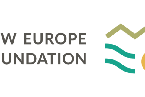 Logo Fundacji New Europe Foundation