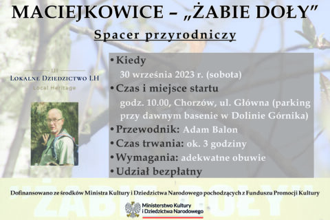 Plakat informacyjny o spacerze przyrodniczym w Maciejkowicach - "Żabich Dołach".
