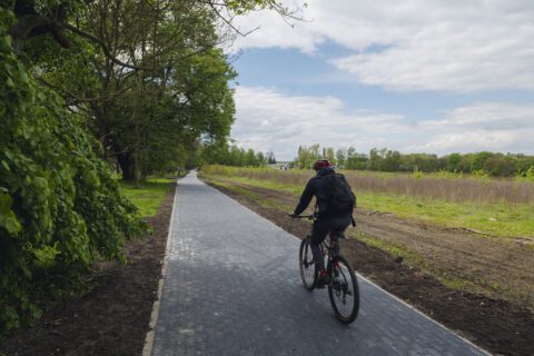 Wyremontowany chodnik z kostki brukowej przy ul Dworskiej