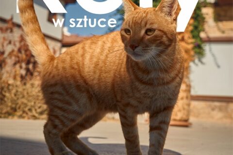 Plakat reklamowy wernisażu "Koty w sztuce" z wizerunkiem rudego kota