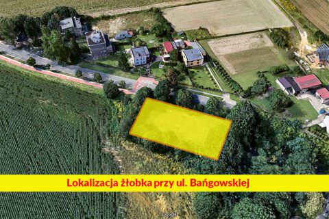 Grafika przedstawiająca lokalizację żłobka