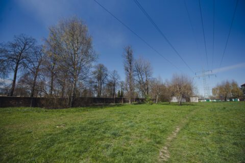 Lokalizacja wybiegu dla psów