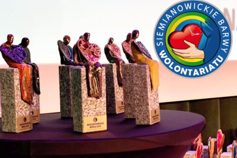 Statuetka Barwy Wolontariatu