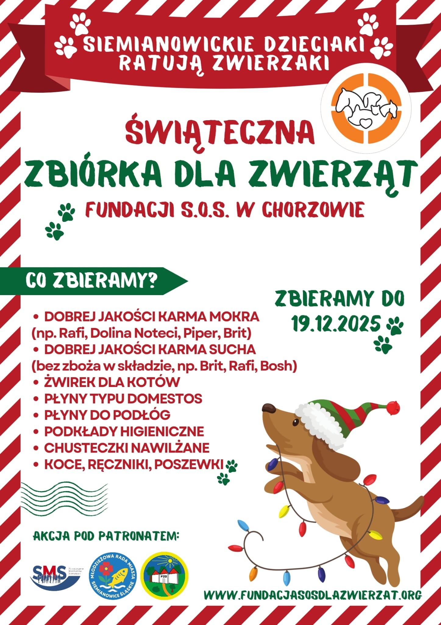 Siemianowickie Dzieciaki Ratują Zwierzaki