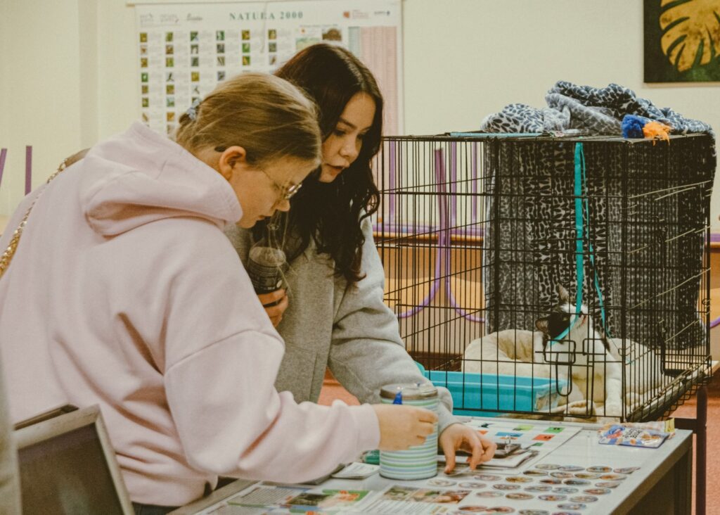 Warsztaty prowadzone przez Schronisko dla Bezdomnych Zwierząt w Katowicach podczas Festiwalu ANTYnuda w ZSOiZ