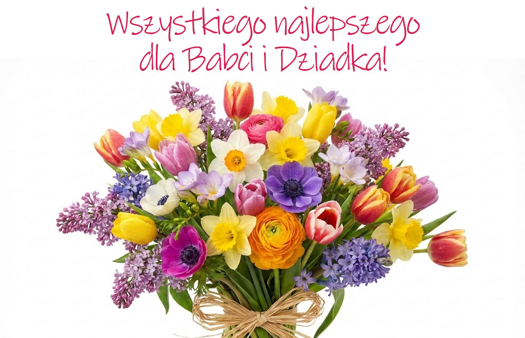 Babcia i Dziadek – serca siemianowickich rodzin