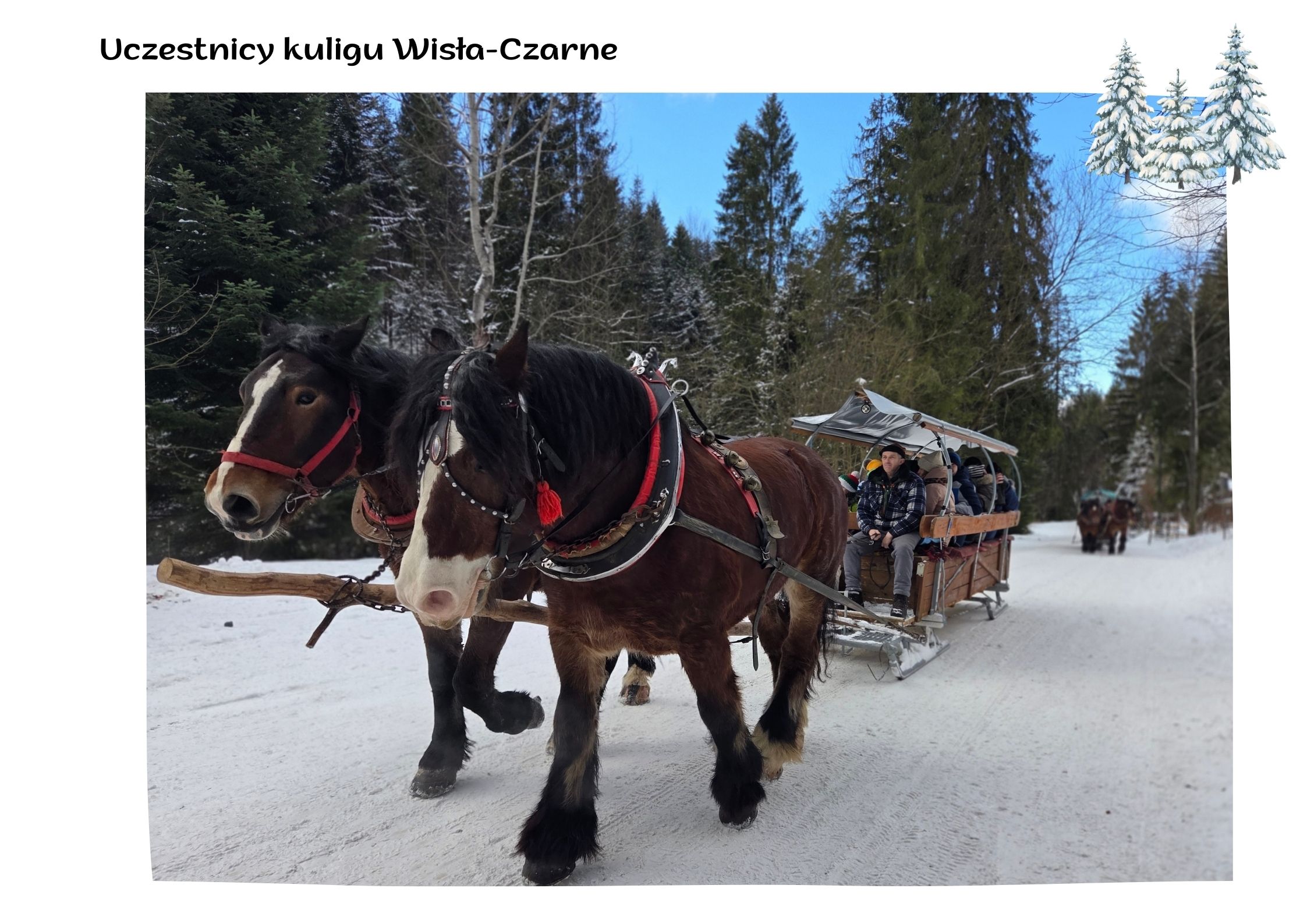 Nasza związkowa kuligowa tradycja