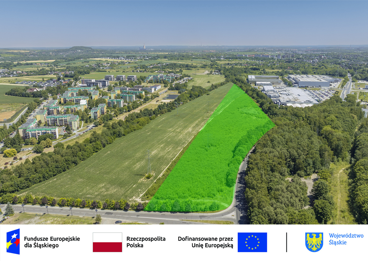 Na Bańgowie powstaje farma fotowoltaiczna
