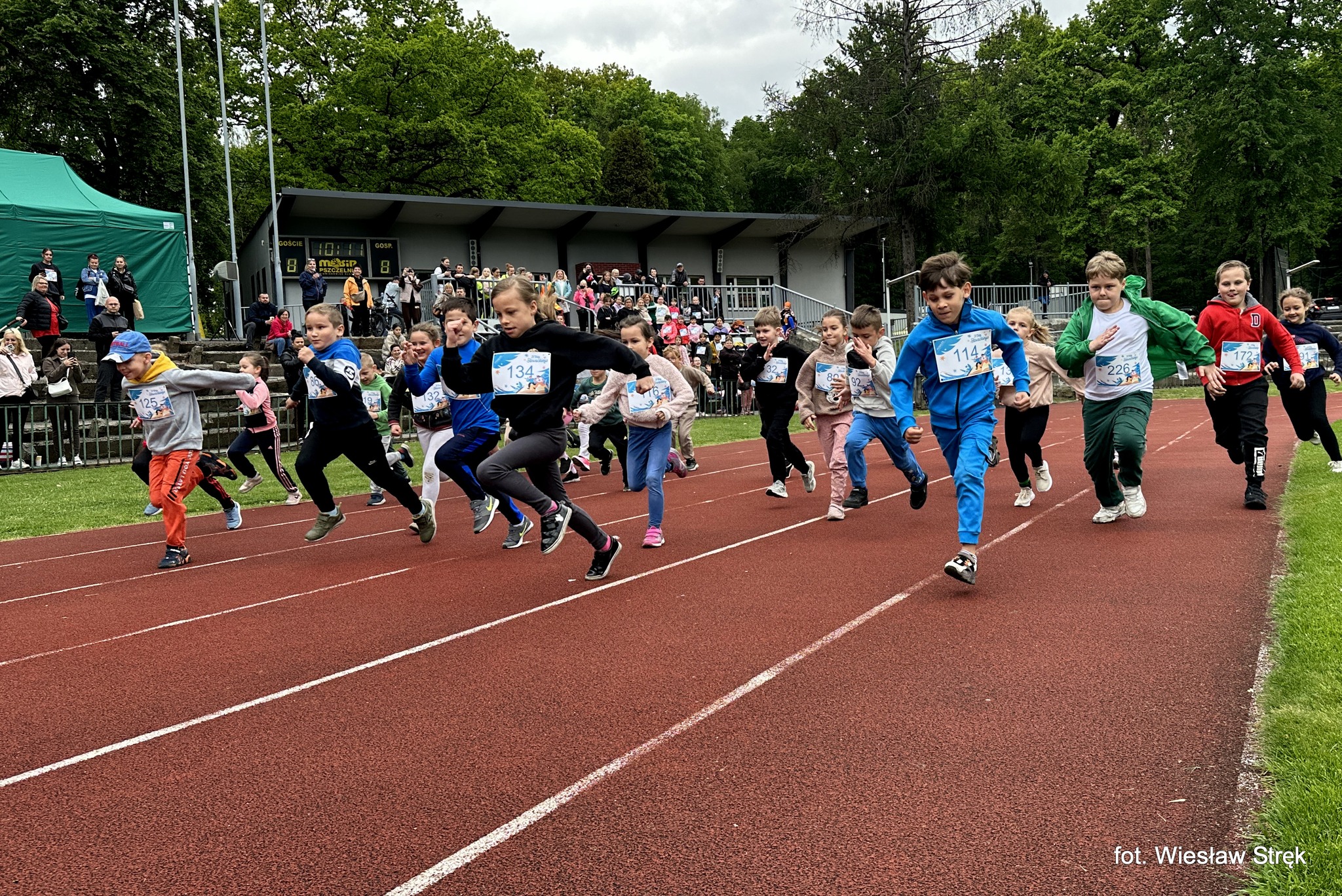 Start uczniów klas młodszych