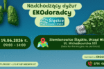 Grafika informująca o dyżurze Ekodordcy