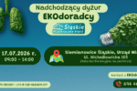 grafika informująca o dyżurze EKOdoradcy