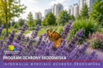 Fotografia przedstawia kwitnącą lawendę w miejskim parku. Na jednym z kwiatostanów siedzi pomarańczowo-brązowy motyl. W tle widoczna jest parkowa alejka, zieleń oraz rozmyte sylwetki wysokich budynków mieszkalnych. W dolnej części grafiki umieszczono logo Siemianowic Śląskich oraz napis „Program ochrony środowiska bez dodatkowej oceny” i informację „Informacja Wydziału Ochrony Środowiska”.