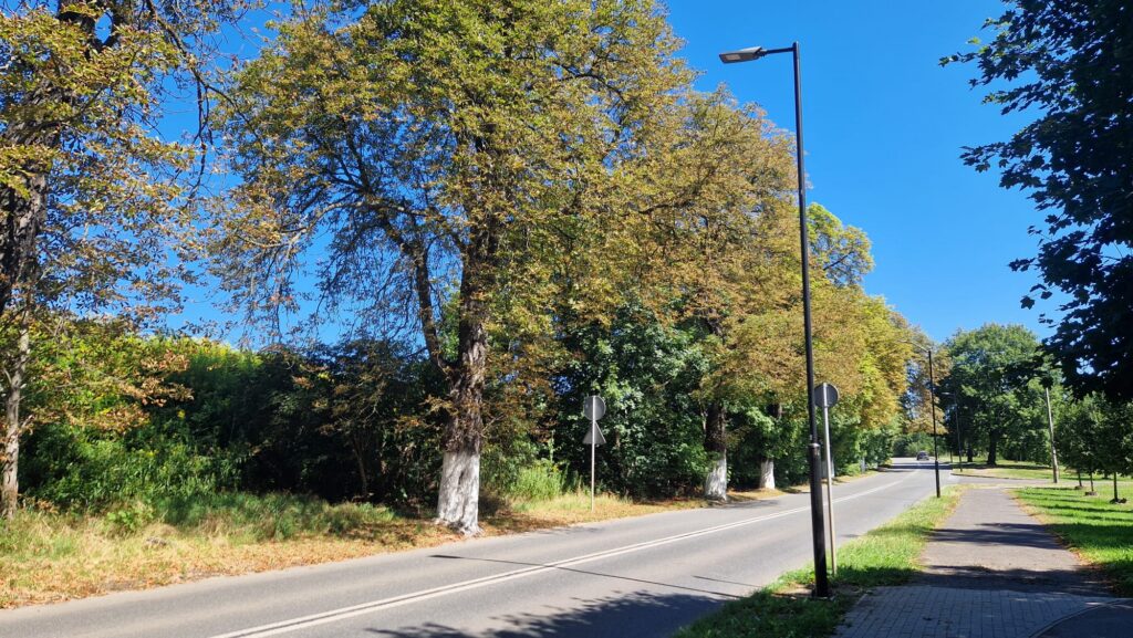 Wymiana słupów oświetleniowych w mieście