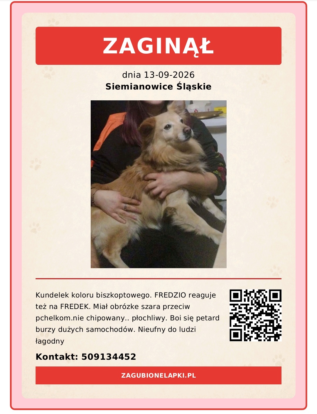 Poszukujemy Fredzia!