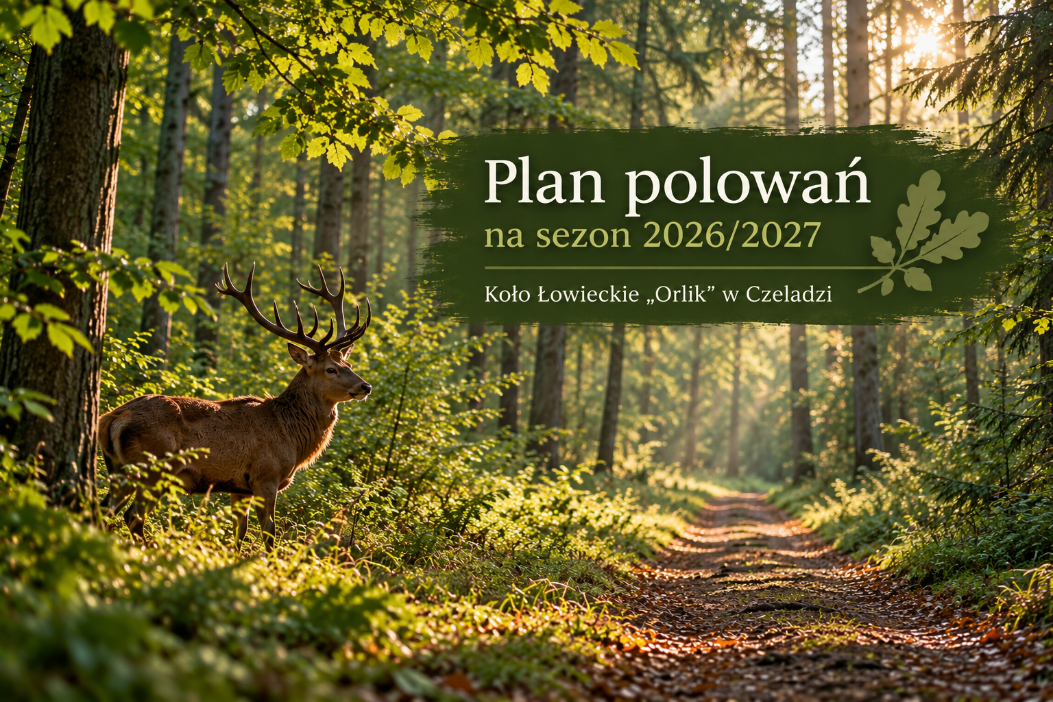 Plan polowań zbiorowych Koła Łowieckiego „Orlik” na sezon 2026/2027